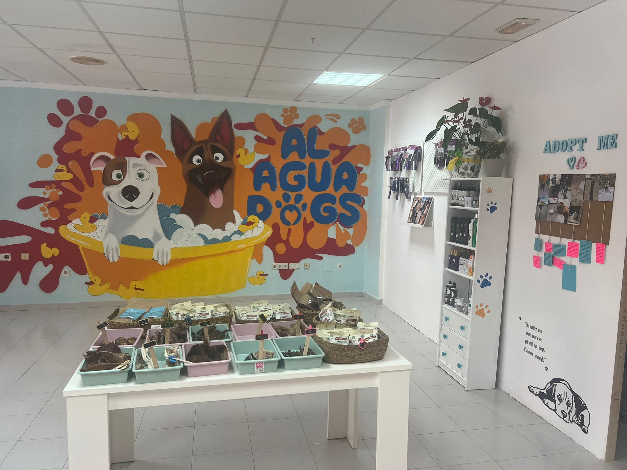 PROYECTO DE APERTURA PARA PELUQUERIA CANINA «AL AGUA DOGS»